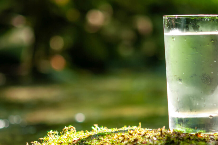 The Business Case for Sustainability: It's All About WELL-Being