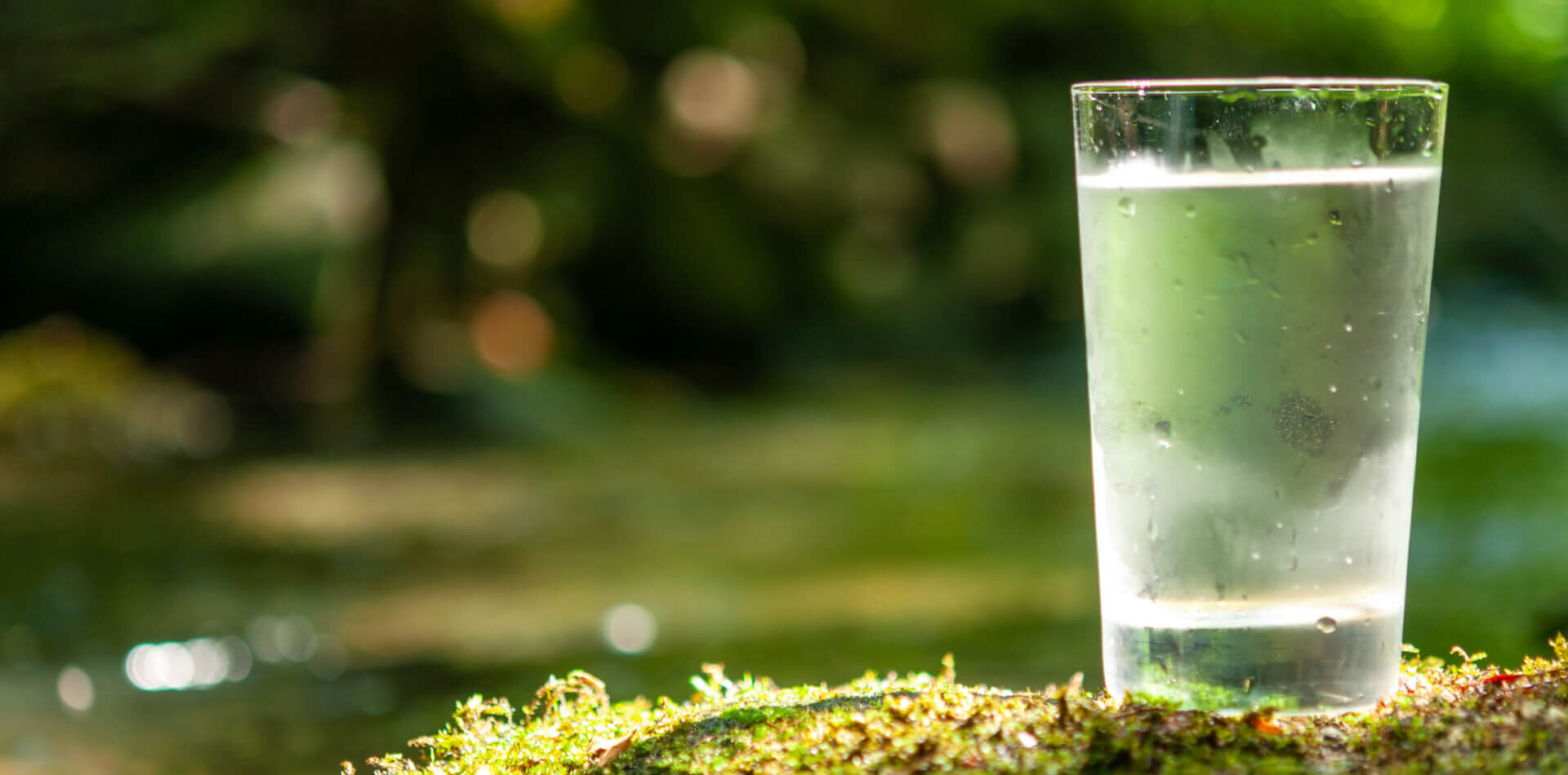 The Business Case for Sustainability: It's All About WELL-Being